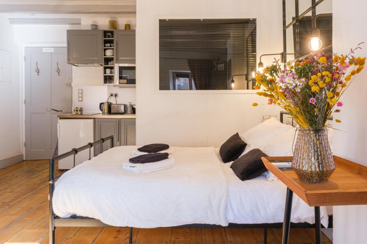Au Grey D'Annecy, Studio Cosy Au Coeur De La Ville Ngoại thất bức ảnh