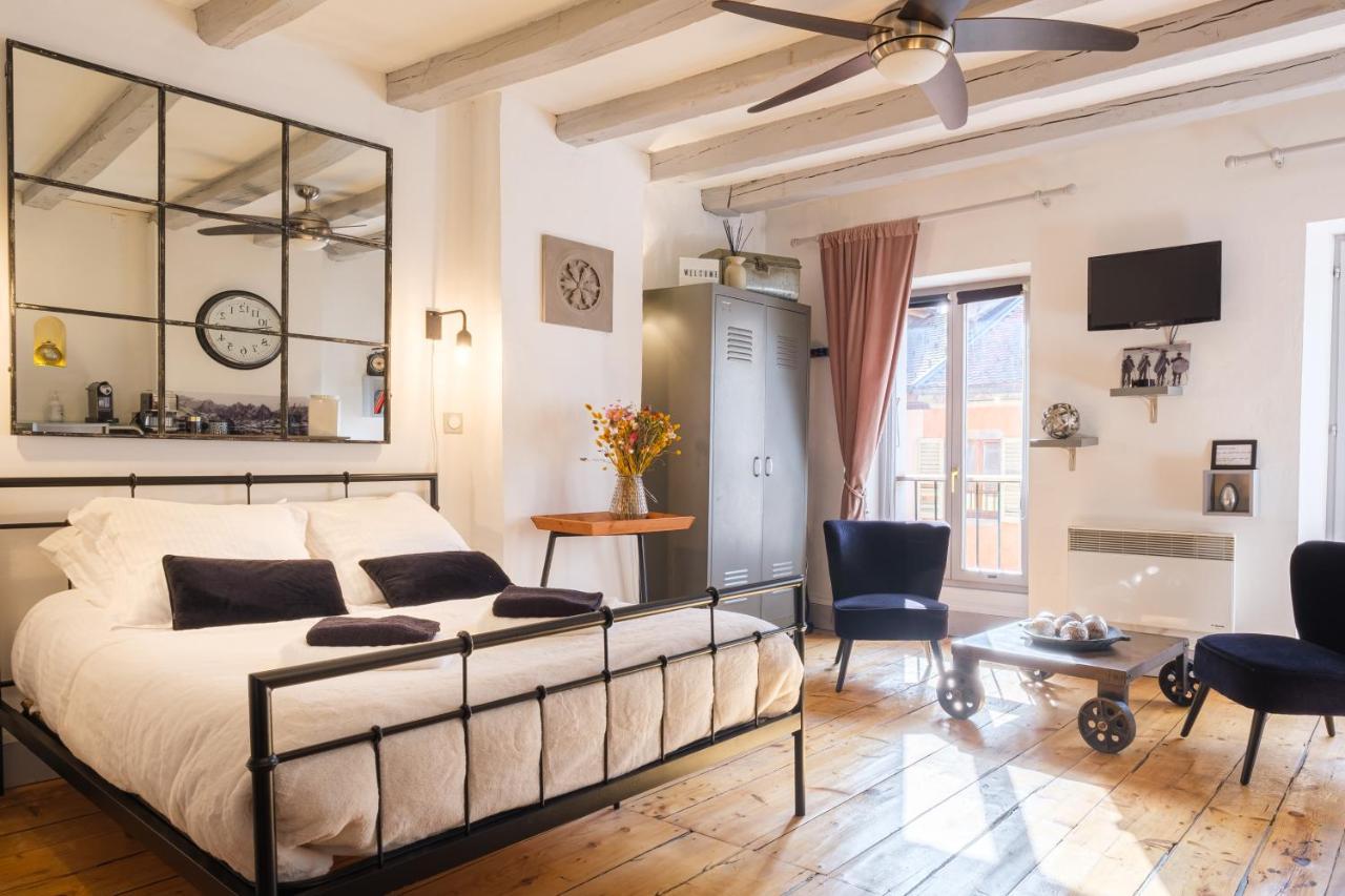 Au Grey D'Annecy, Studio Cosy Au Coeur De La Ville Ngoại thất bức ảnh