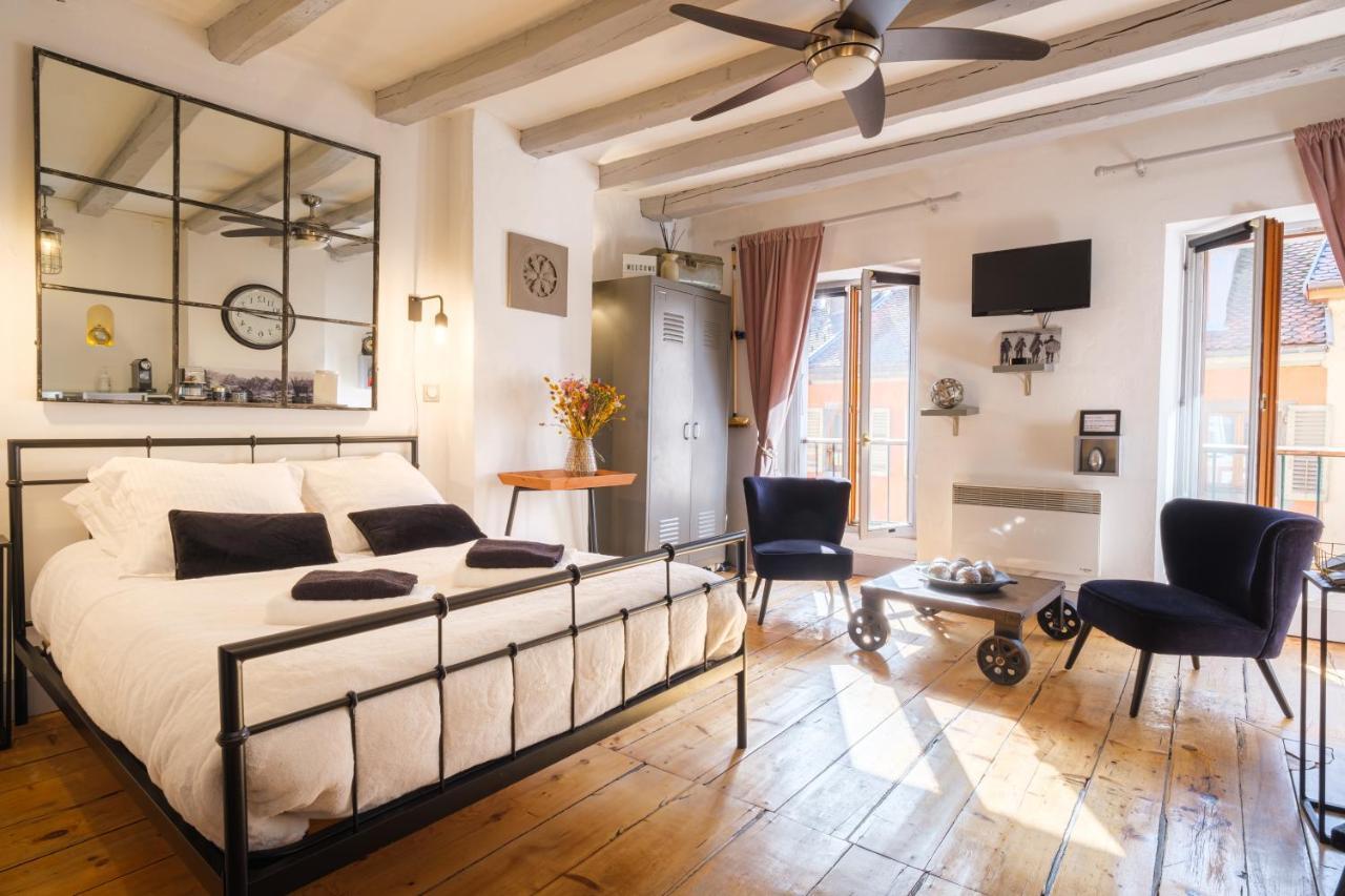 Au Grey D'Annecy, Studio Cosy Au Coeur De La Ville Ngoại thất bức ảnh