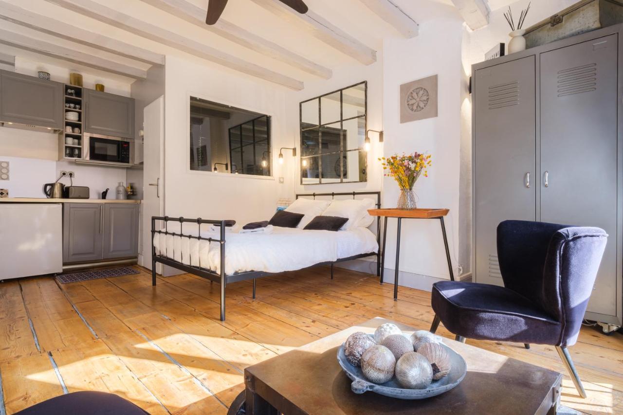 Au Grey D'Annecy, Studio Cosy Au Coeur De La Ville Ngoại thất bức ảnh